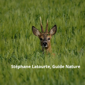Stéphane Latourte, Guide Nature